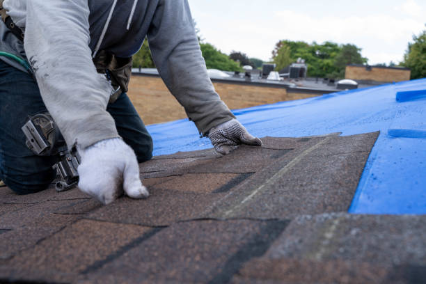 Tile Roofing Contractor in Federalsburg, MD