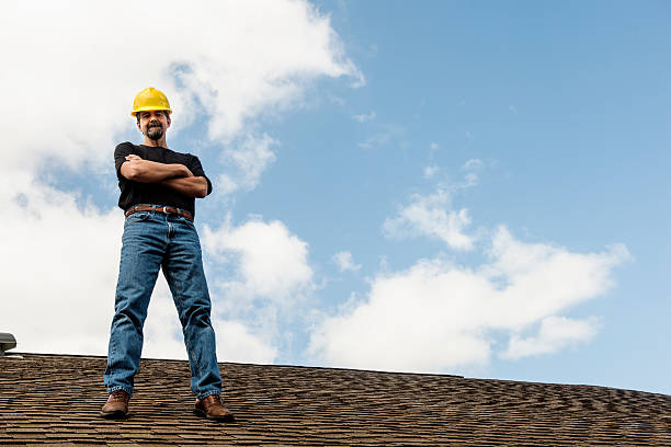 Best New Roof Installation  in Federalsburg, MD
