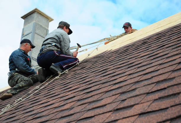 Best Shingle Roofing Installation  in Federalsburg, MD